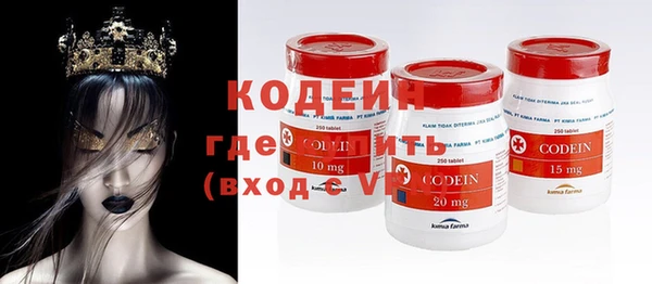 соль ск Верхний Тагил