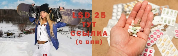прущие грибы Верхнеуральск