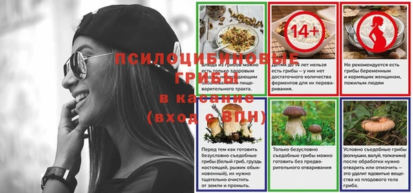 прущие грибы Верхнеуральск