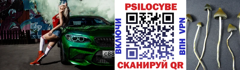 Галлюциногенные грибы мицелий  купить  цена  Красноярск 